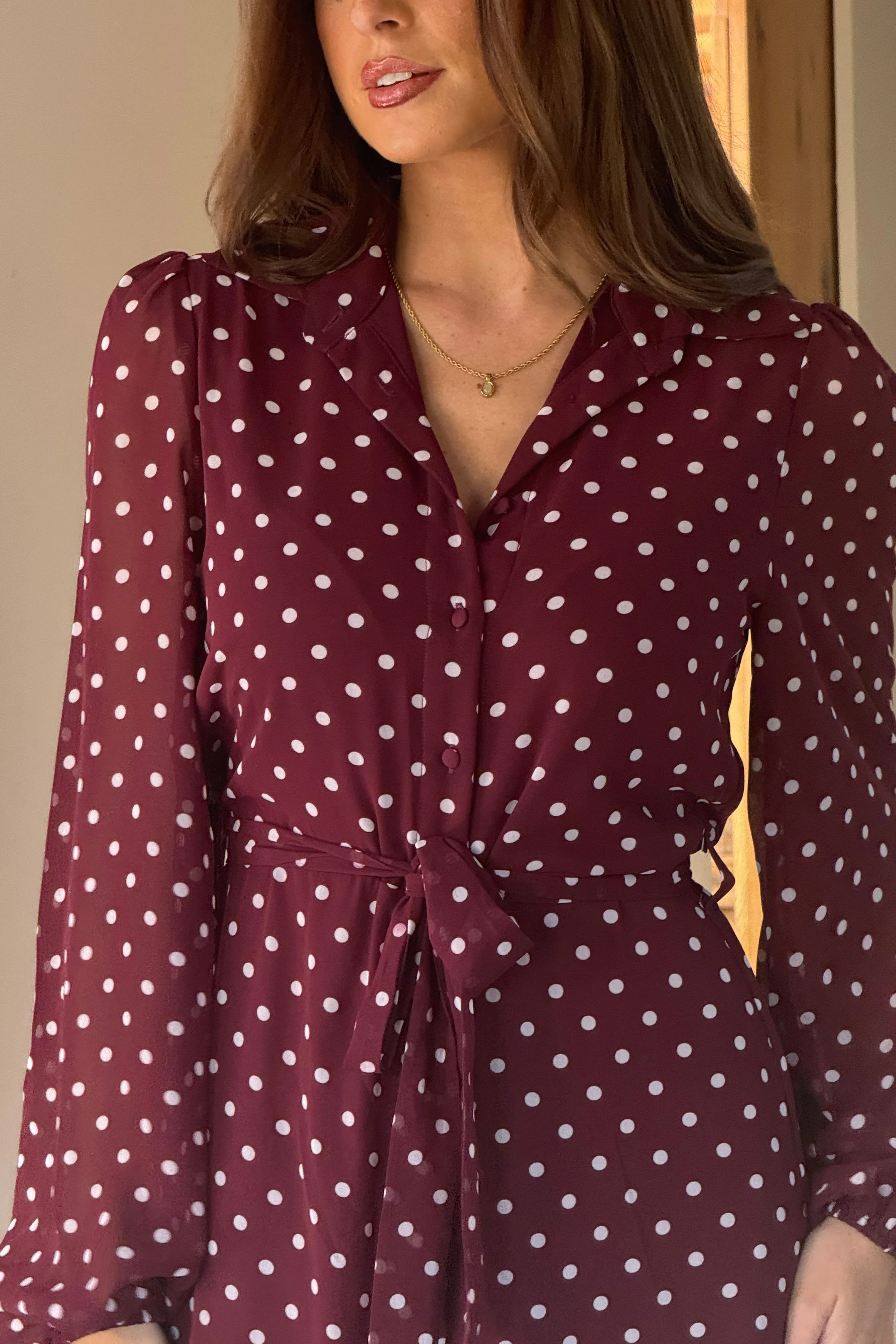 Kaya Berry Spot Print Midi Shirt Dress - Image 4